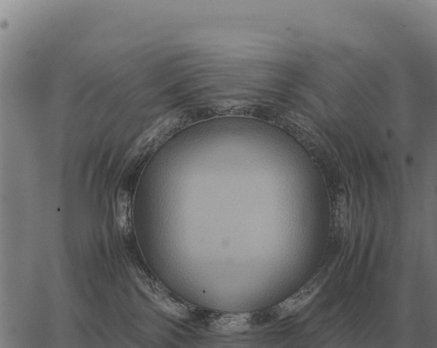 X0000066520138200603311804