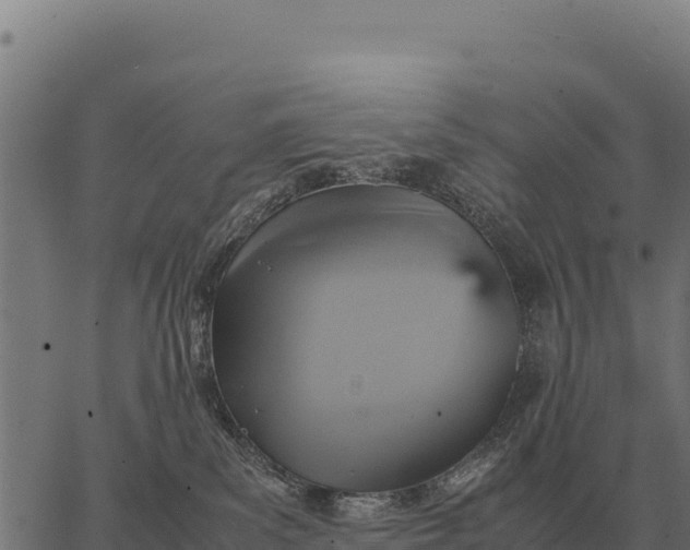 X0000066520139200603311804