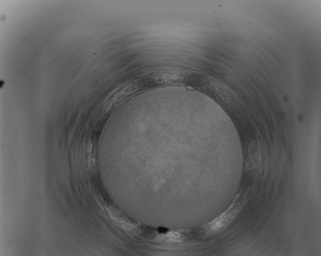 X0000066520140200603311804