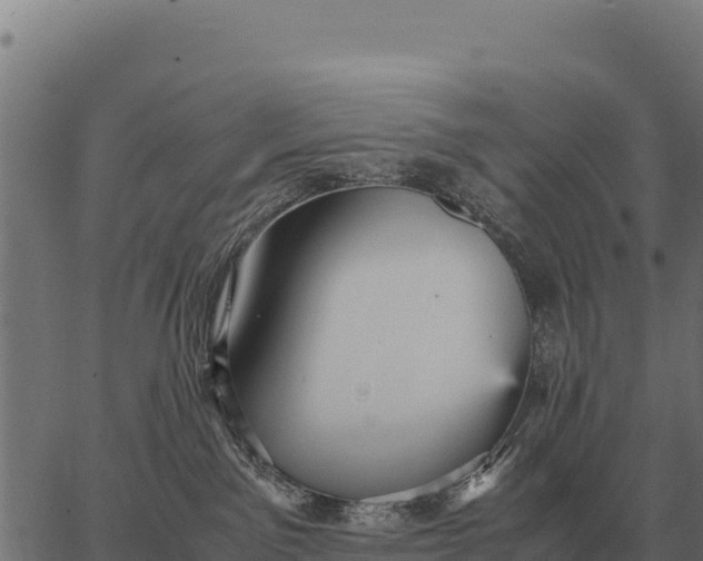 X0000066520141200603311804