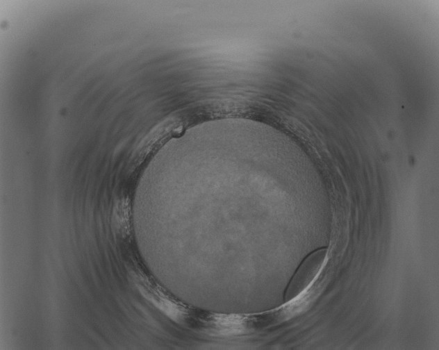 X0000066520144200603311803