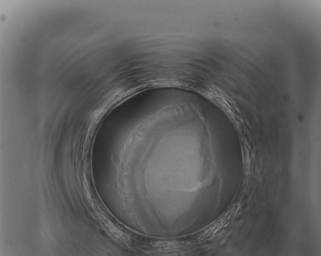 X0000066520145200603311803