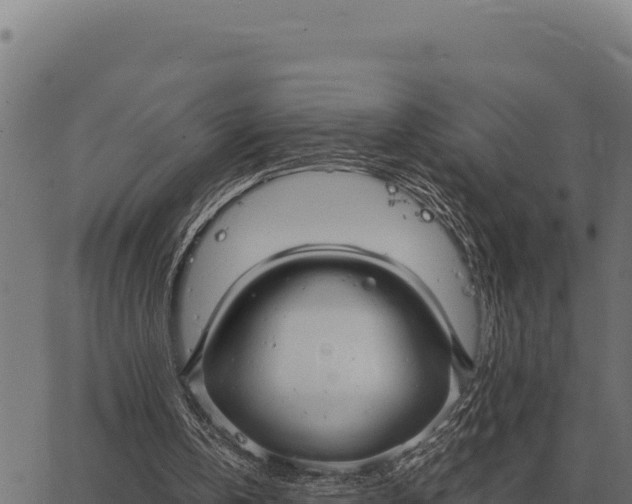 X0000066520146200603311803