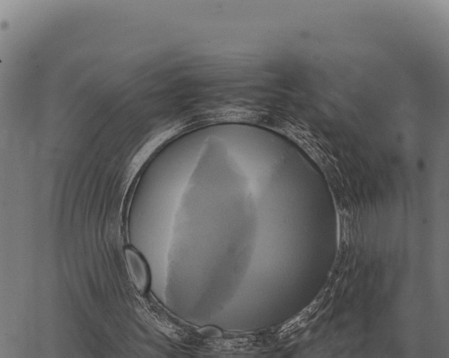 X0000066520147200603311803