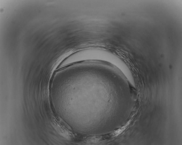 X0000066520148200603311803