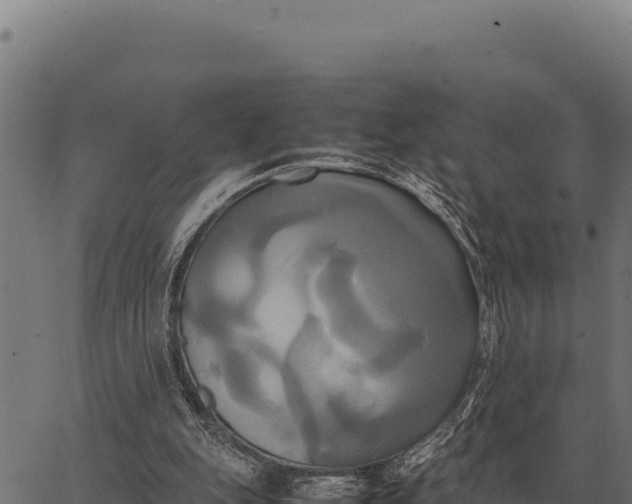 X0000066520151200603311803