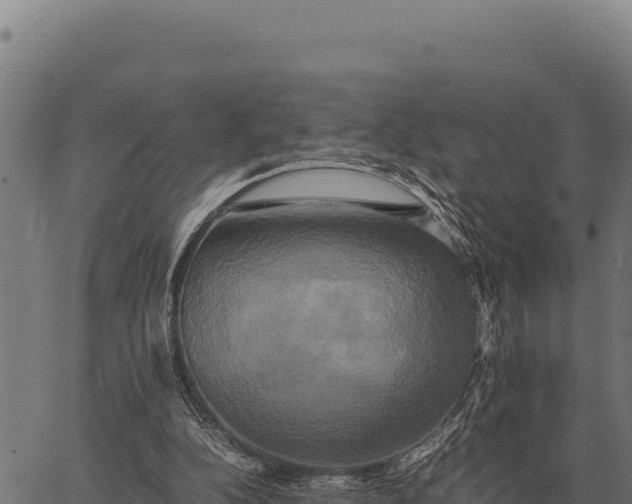 X0000066520152200603311803