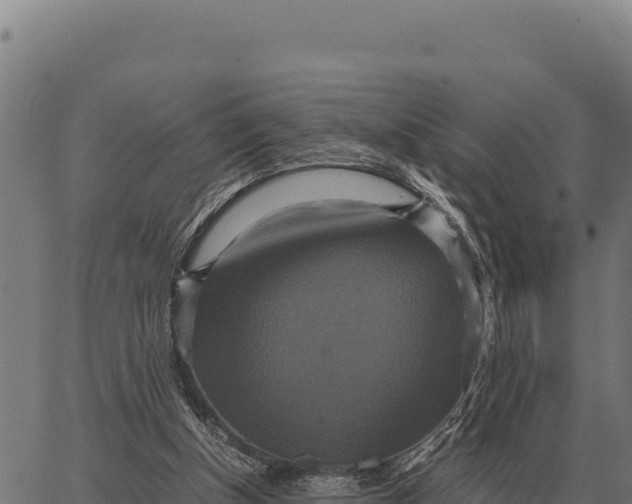 X0000066520154200603311803