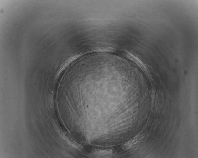 X0000066520155200603311803