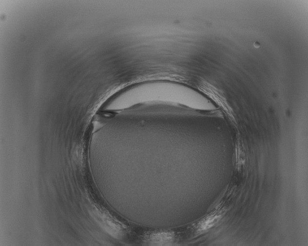 X0000066520156200603311803