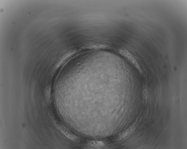 X0000066520159200603311803