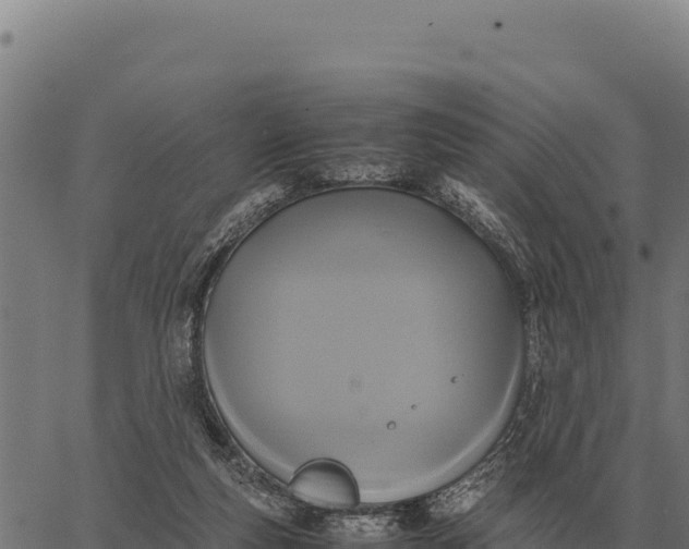 X0000066520163200603311803