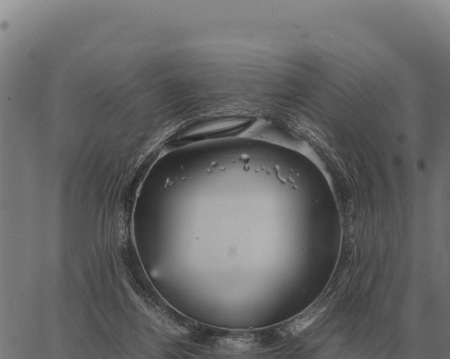 X0000066520164200603311803