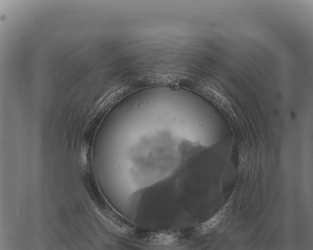 X0000066520166200603311803