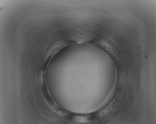 X0000066520167200603311803