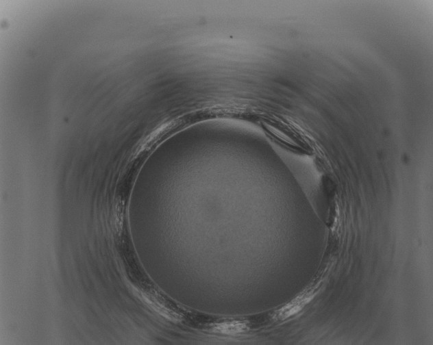 X0000066520168200603311803