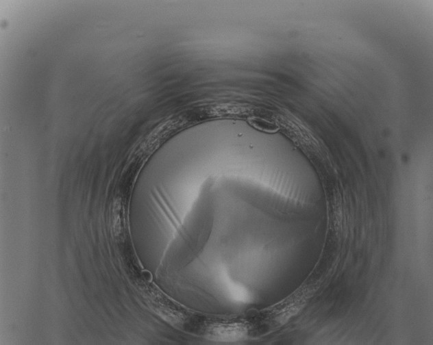 X0000066520169200603311803