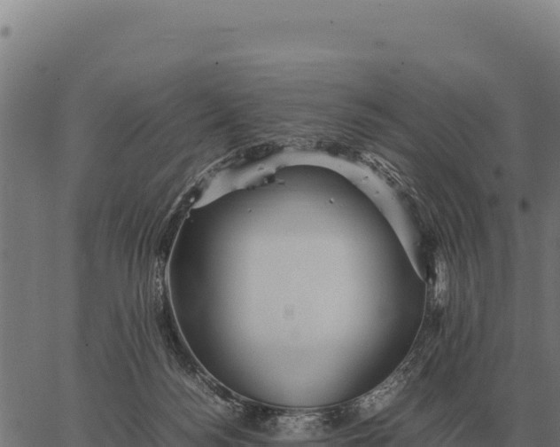 X0000066520172200603311803