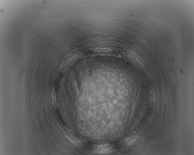 X0000066520173200603311803