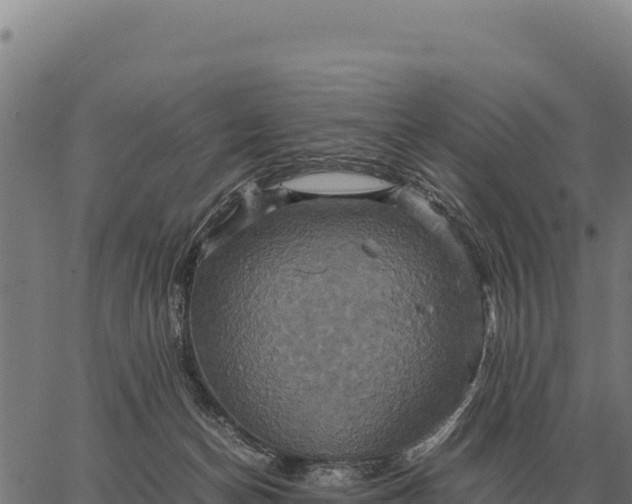 X0000066520174200603311803