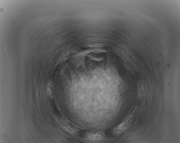 X0000066520175200603311803