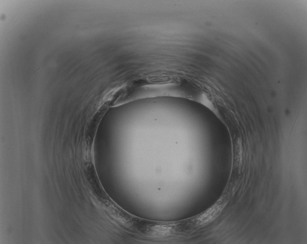 X0000066520176200603311803