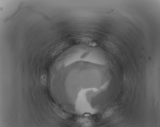 X0000066520177200603311803