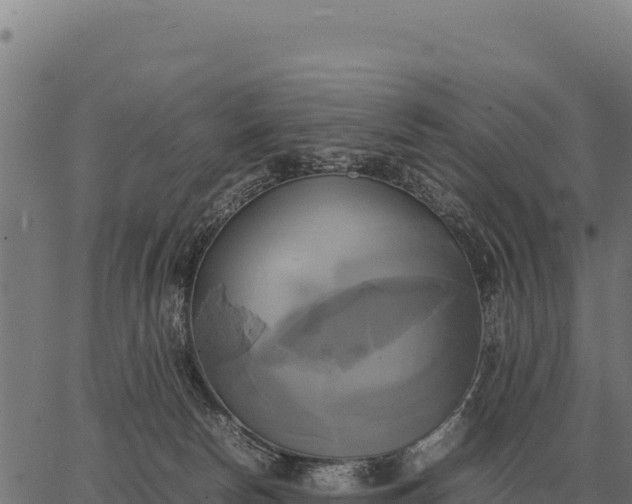 X0000066520178200603311803