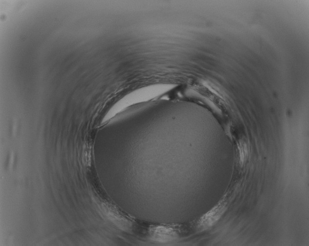 X0000066520180200603311803