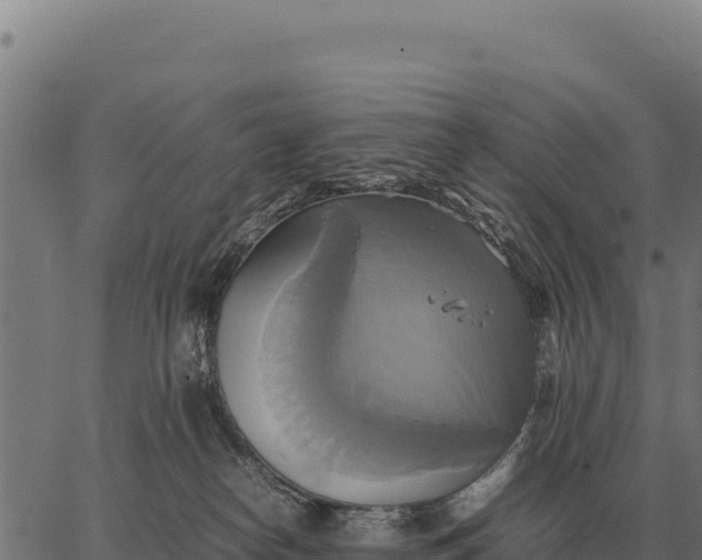 X0000066520182200603311803