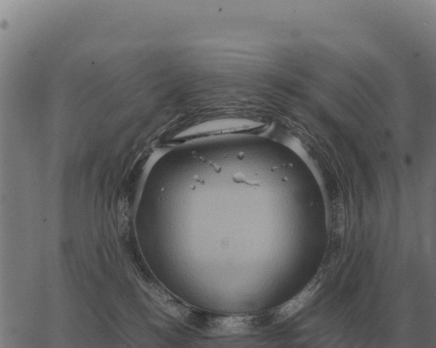 X0000066520184200603311803