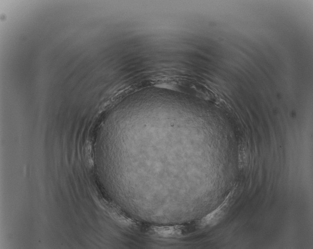 X0000066520187200603311803