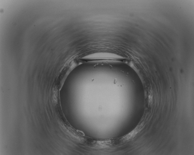 X0000066520188200603311803