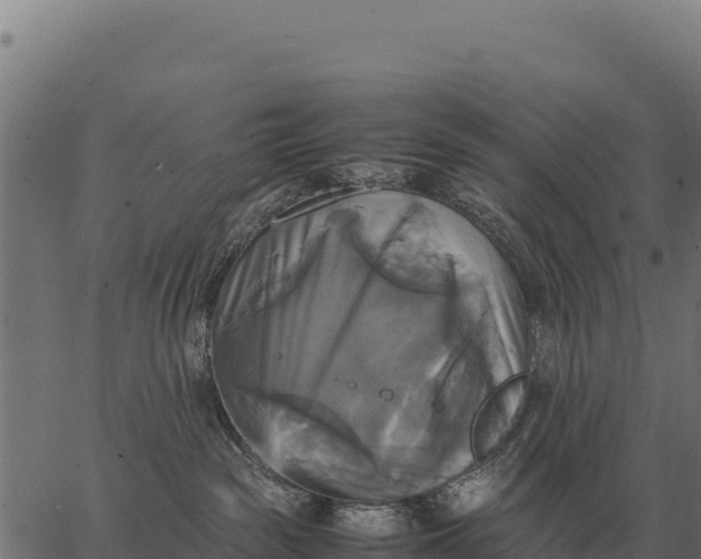 X0000066520189200603311803