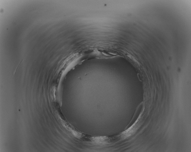 X0000066520192200603311803