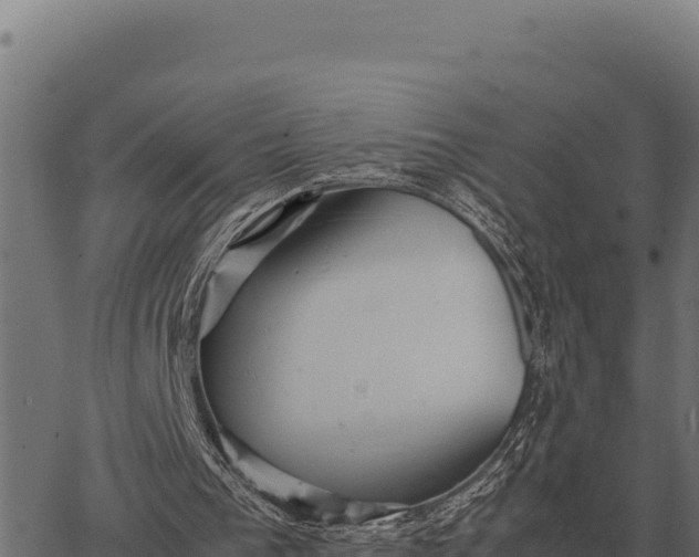 X0000066520193200603311803