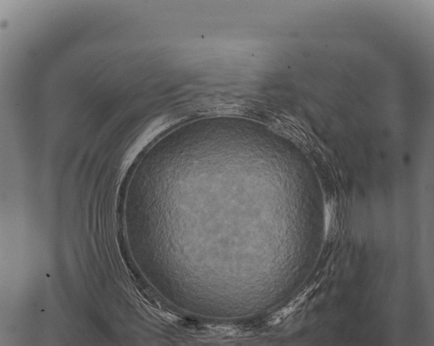 X0000066520195200603311803