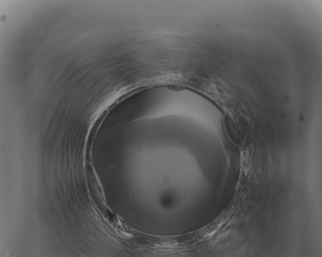 X0000066520196200603311803