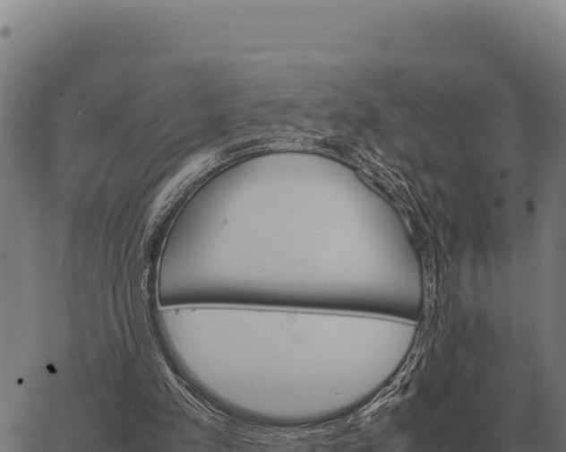 X0000066520197200603311803