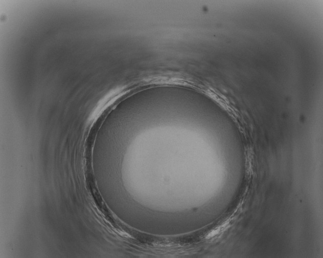 X0000066520199200603311803