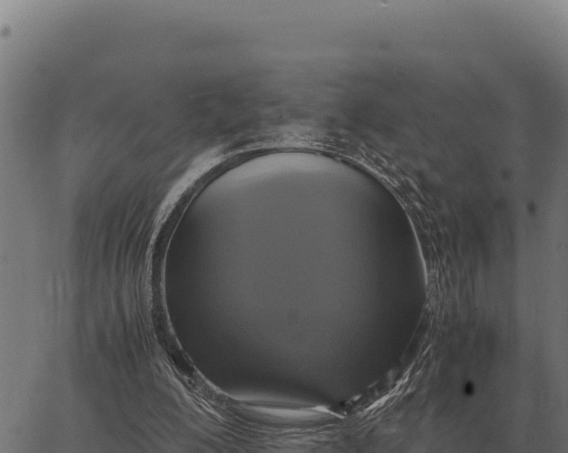 X0000066520200200603311803