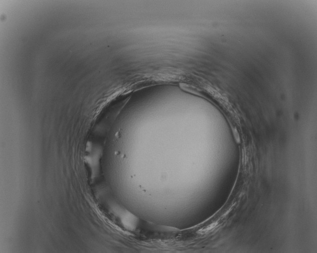 X0000066520201200603311803