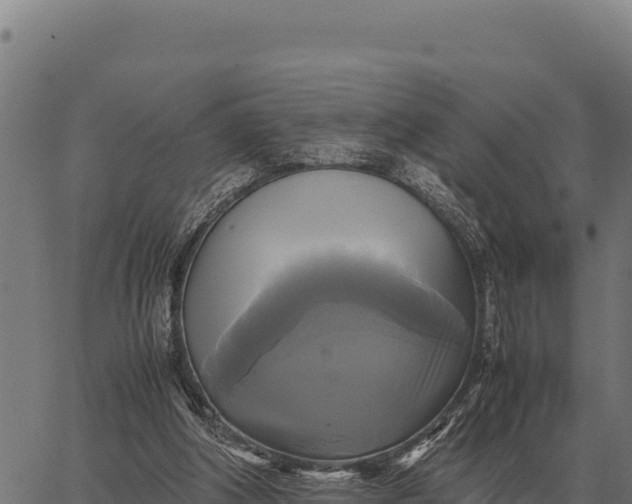 X0000066520202200603311803