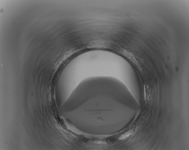 X0000066520204200603311802