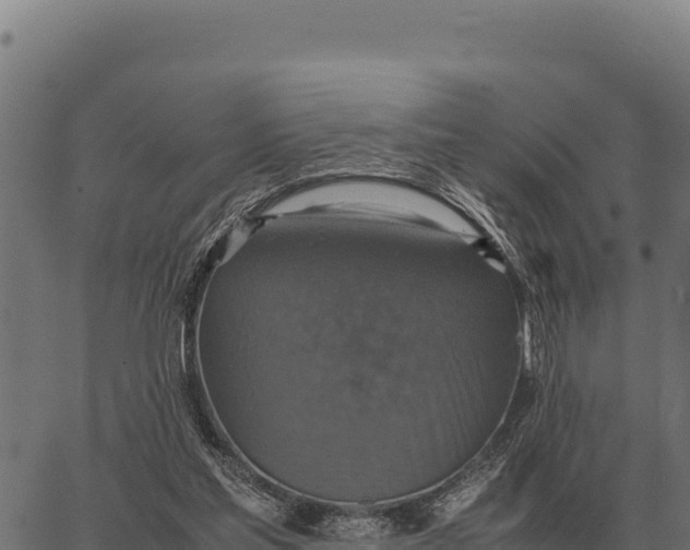 X0000066520205200603311802