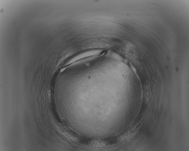 X0000066520207200603311802