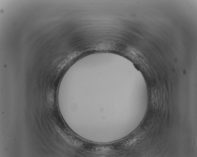 X0000066520208200603311802