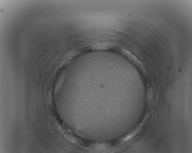 X0000066520209200603311802