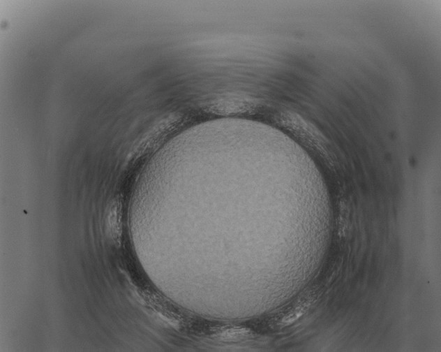 X0000066520210200603311802