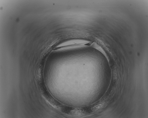 X0000066520211200603311802